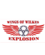 Wings of Wilkes